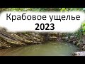 Крабовое ущелье 28.08.2023г.