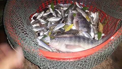 #4 trãi nghiệm đi thăm 12 Cửa ngục @Ngược Dòng Sông Hậu