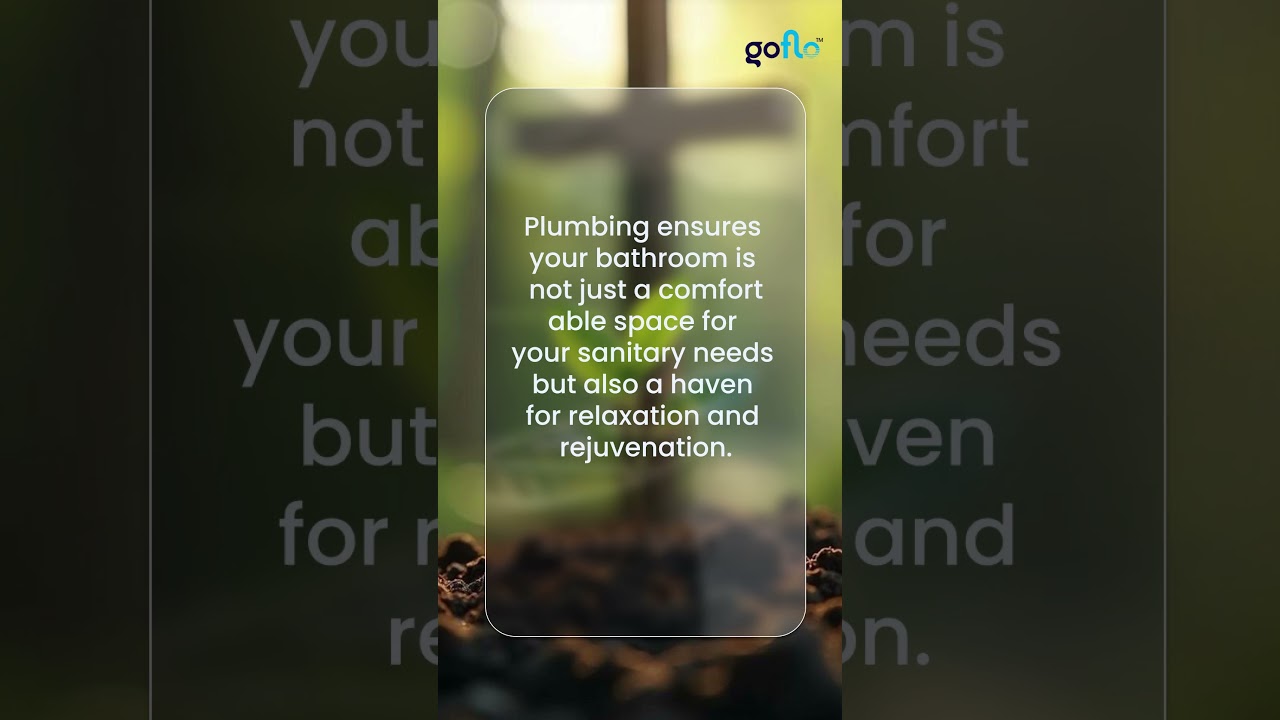 Honoring the Unsung Heroes of Plumbing on World Plumbing Day!