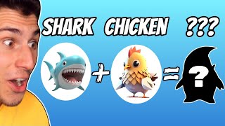 I Crossed a Shark with a Chicken! | Animash