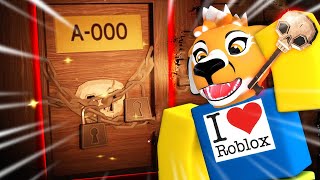 WCHODZIMY Z CAŁĄ EKIPĄ DO TAJEMNICZYCH DRZWI w DOORS | ROBLOX screenshot 5