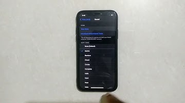 How To Set A Time Limit Sound Alarm In Read The Access On Iphone X