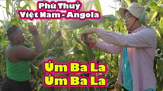 Làm bùa chú bảo vệ nông sản ở Angola|| 2Q Vlogs Cuộc Sống Châu Phi
