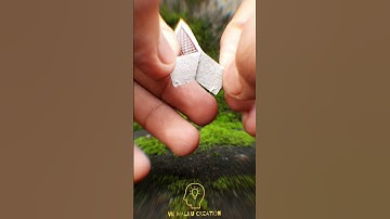 Smoke From Finger 💥Matchstick Magic#Shorts#M4Tech#FISHING_FREAKS#EBULLGET#5Minutecraft#youtubeshorts