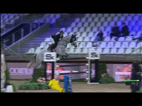 Quiterio Z 145 CSI3* Zangersheide