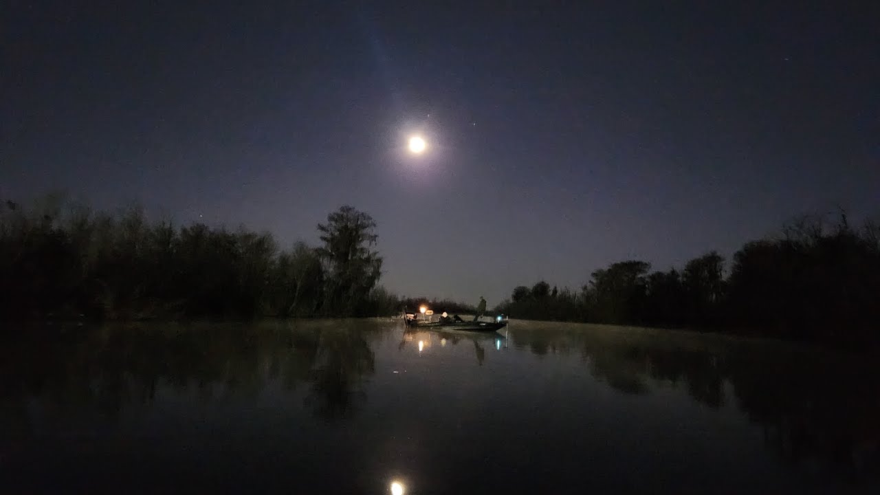 Bass Fishing Lake Panasoffkee Tournament