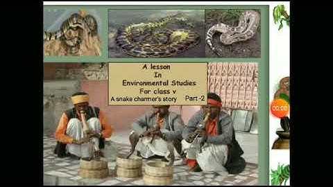 CLASS 5TH EVS | CHAPTER -2| A SNAKE CHARMER’S STORY( Part - 2)
