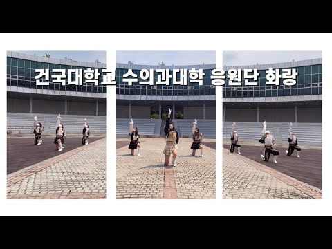 2021 대한민국 청년의날 치어리딩 페스티벌 참가팀 영상(건국대학교 수의과대학 화랑응원단)