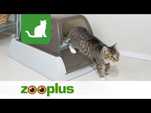 Video: Automaattinen Kissanhiekkalaatikko: Toimintaperiaate, Hyvät Ja Huonot Puolet