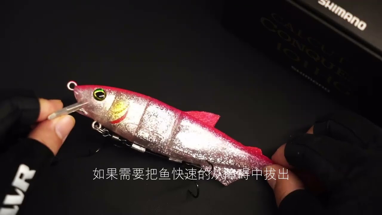One Round Reel for Big Bass,Why the Conquest 201HG Makes Sense