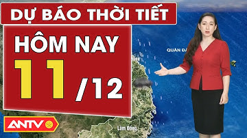 Dự báo thời tiết mới nhất hôm nay ngày 11/12: Bắc Bộ và Trung Bộ mưa | ANTV