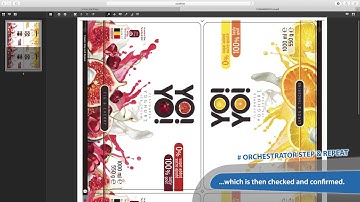CLOUDFLOW Orchestrator - Step & Repeat Process