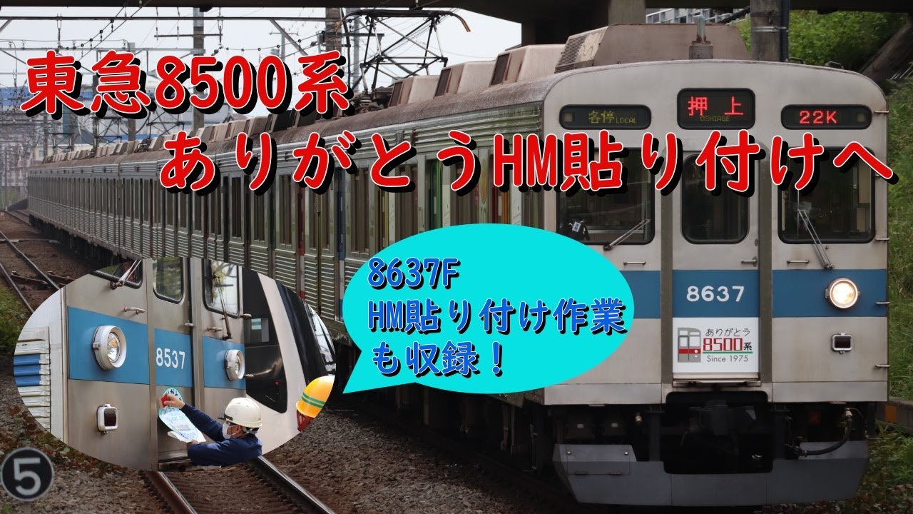 訳あり品 グリーンマックス 8500系 伊豆急夏の色