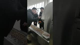Automatic cashew nuts continuous roasting machine industrial beans seeds grains continous roaster