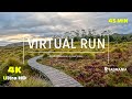 Virtual run  trail run 4k  treadmill workout cradle mountain  scenery tasmania