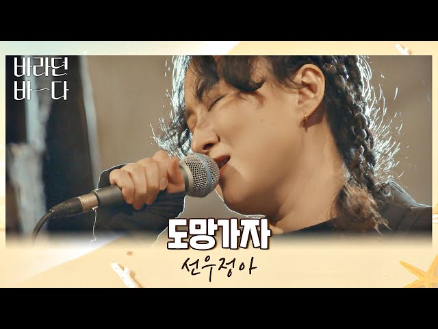 돌아오자,, 밤바다🌊에서 부르는 선우정아(Sunwoojunga)의 위로송 〈도망가자〉♬ 바라던 바다 (sea of hope) 7회 | JTBC 210810 방송 class=