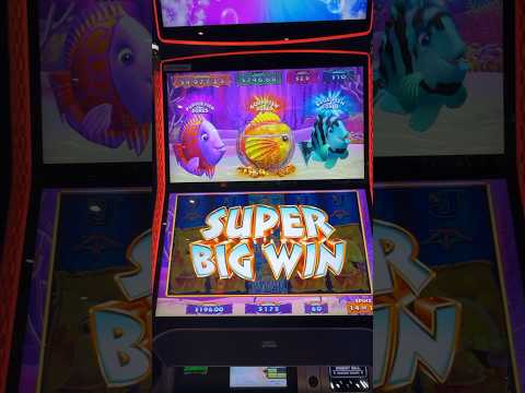 Wild ape BET 5 SCATTER . #WILDAPESCATTER #slot #slotwin #jackpot #PG