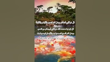 سورة الملك من الآية ﴿٢٢﴾ إلي الآية ﴿٢٤﴾ بصوت القارئ إسلام صبحي