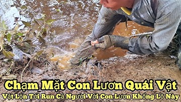 Câu Lươn Khủng_Chạm mặt con lươn quái vật_Vật lộn run cả người với con lươn khổng lồ này_tập988