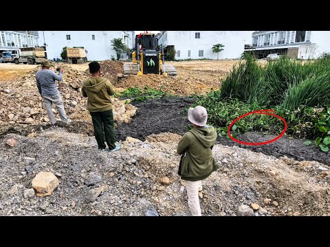 Success Pushes Poke to Powerful Bulldozer SHANTUI Works Perfectly Clean Landfill Land Grass Complete