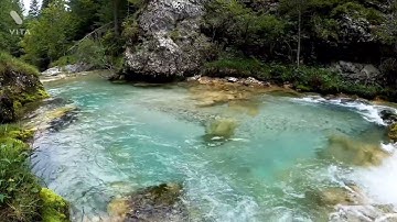 سورة الشمس بصوت القارء وديع اليمني