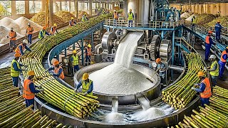 How Millions Of Raw Sugarcane Are Turned Into Sugar 🍚 (Full Factory Process)