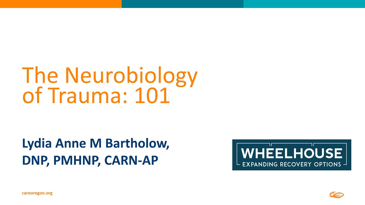 The Neurobiology of Trauma: 101 (2/4)