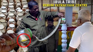 Snake Venom Extraction at Crocodile Bank | Dad ku semma bayam! 😂😱