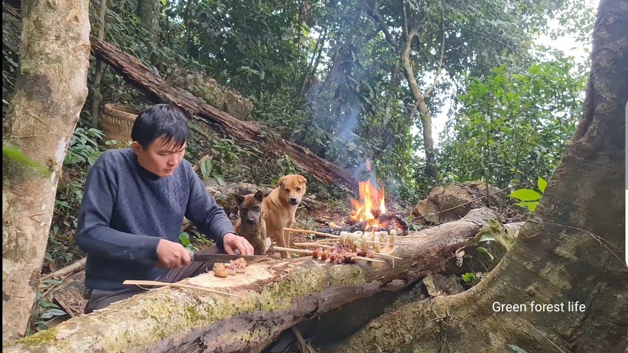 Back to the forest to get melons seeds and party with the dogs, Survival Instinct, Wilderness Alone