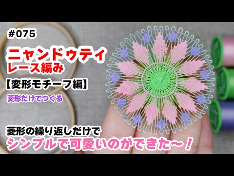 ニャンドゥティ伝説織 額縁入り12輪の白いお花 珍しい レース 刺繍