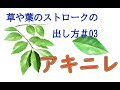 デジタル風景画　自然物：草や葉のストロークの出し方！#03