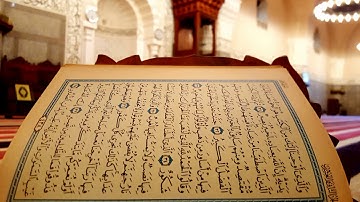 جامع الجفالي أواخر سورة فاطر للشيخ/محمد نور
