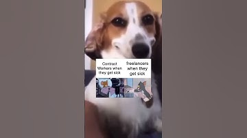 Rate This Meme 1-10 — Be Honest! 😂