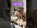 yung pamangkin ni #kathrynbernardo #aldenrichards #danielpadilla #shorts #viralshorts #viral