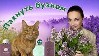 видео: Топ-7 ПАРФУМІВ з нотою БУЗКА 🪻КРАЩІ З НАЙКРАЩИХ ароматів про бузок. картинка: Топ-7 ПАРФУМІВ з нотою БУЗКА 🪻КРАЩІ З НАЙКРАЩИХ ароматів про бузок.