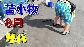 年8月13日苫小牧港でさびき釣り 小サバが入れ食いで大満足 ゴブゴブログ