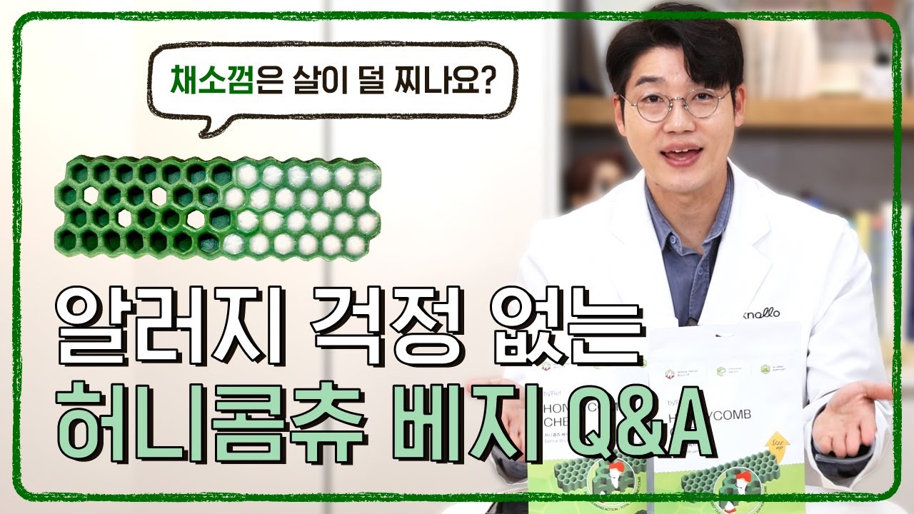 허니콤츄 베지🥦 궁금해하셨던 질문들 답변드려요! | 설채현 행동학 수의사