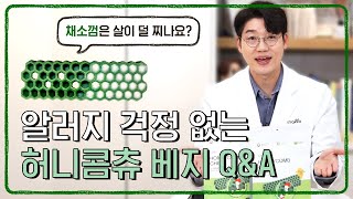 허니콤츄 베지🥦 궁금해하셨던 질문들 답변드려요! | 설채현 행동학 수의사 by 설채현의 놀로와  4,608 views 2 months ago 9 minutes, 43 seconds