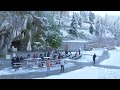 Messe depuis la Grotte de Lourdes - Lundi 11 janvier 2021.