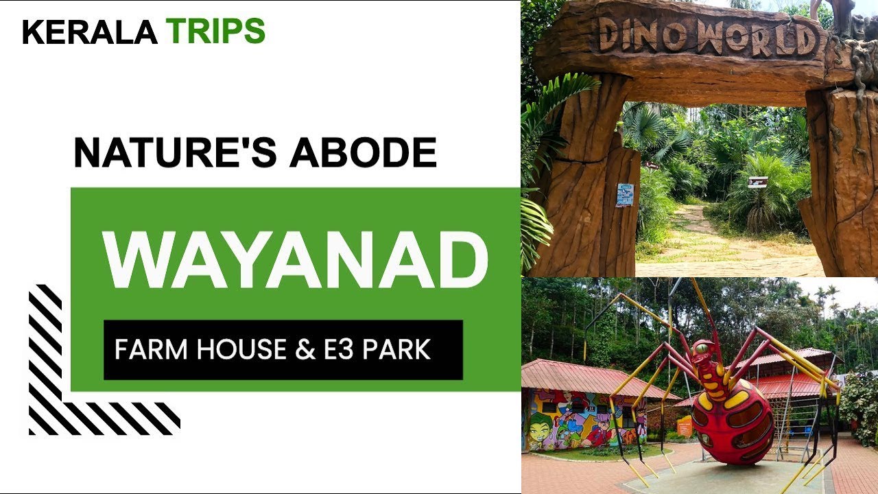 Wayanad Farm House and E3 Theme Park