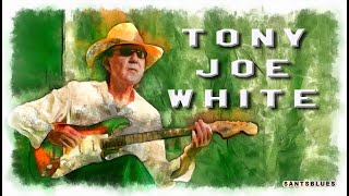 Watch Tony Joe White Sweet Tooth video