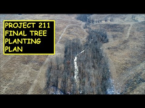 Project 211 FINAL TREE PLANTING PLAN! This property will be Awesome!