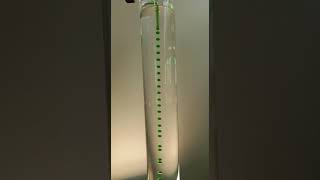 prisma pump | emec italy | precise dosing