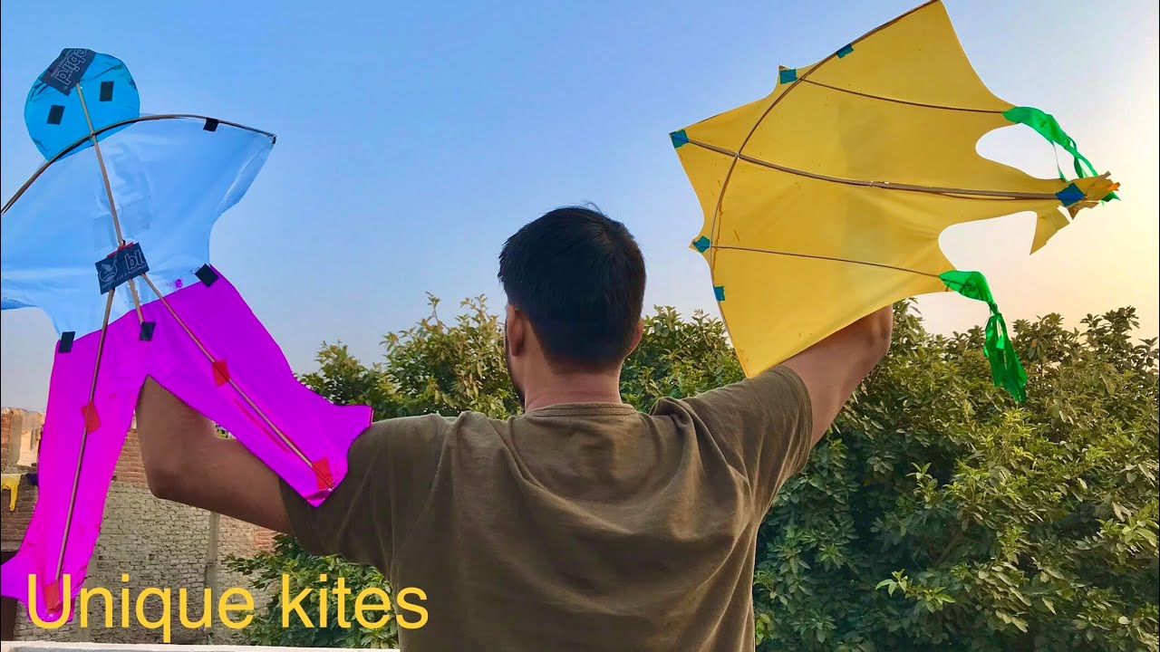 Kite Flying different types of kites man kite gold kite 