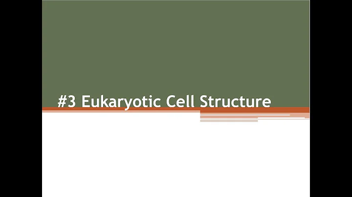 Unit #2 Cellular Structure & Function - #3 Eukaryo...