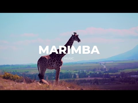 Marimba Music -
