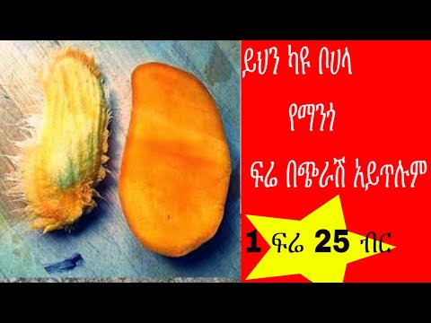 ቪዲዮ: ስንት ሾጣጣ ዛፎች አሉ?