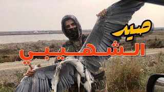 قنص الشهيبي او الزركي | شوي الطيور البرية | Hunting in Iraq