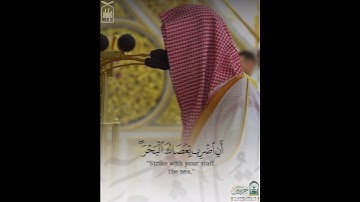 ﴿قالَ كَلّا إِنَّ مَعِيَ رَبّي سَيَهدينِ﴾ من سورة الشعراء .. الشيخ محمد برهجي 🤍..