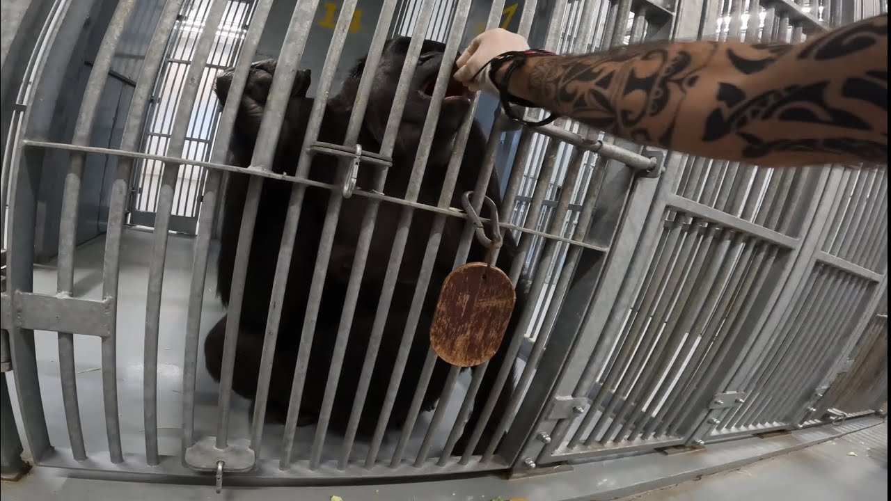 Šikovná! Shindy trénink v zázemí (Martin Vojáček)